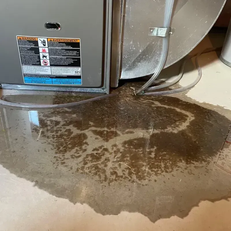 Appliance Leak Cleanup in Covington, VA